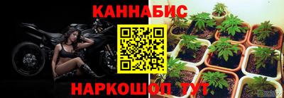 MDMA Premium VHQ Камышлов