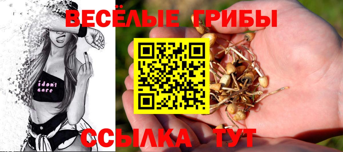 Псилоцибиновые грибы мицелий Серов